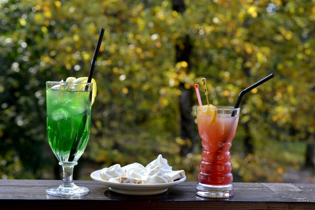 Le Bois Dormant-Hotel Restaurant & Spa Logis Hotel Шампаньол Екстериор снимка